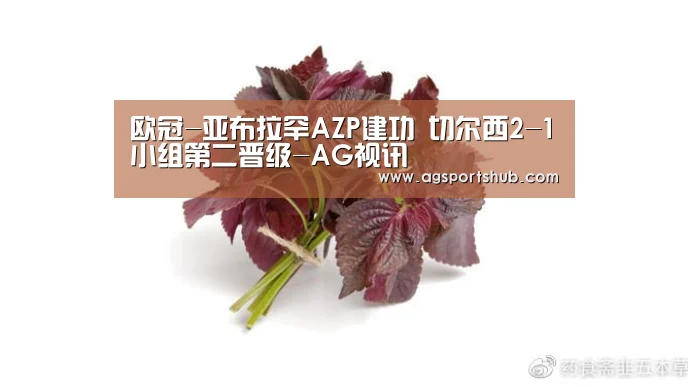 欧冠-亚布拉罕AZP建功 切尔西2-1小组第二晋级-AG视讯(图3) AG百家乐